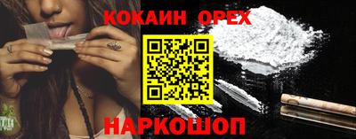 Альфа ПВП Кандалакша