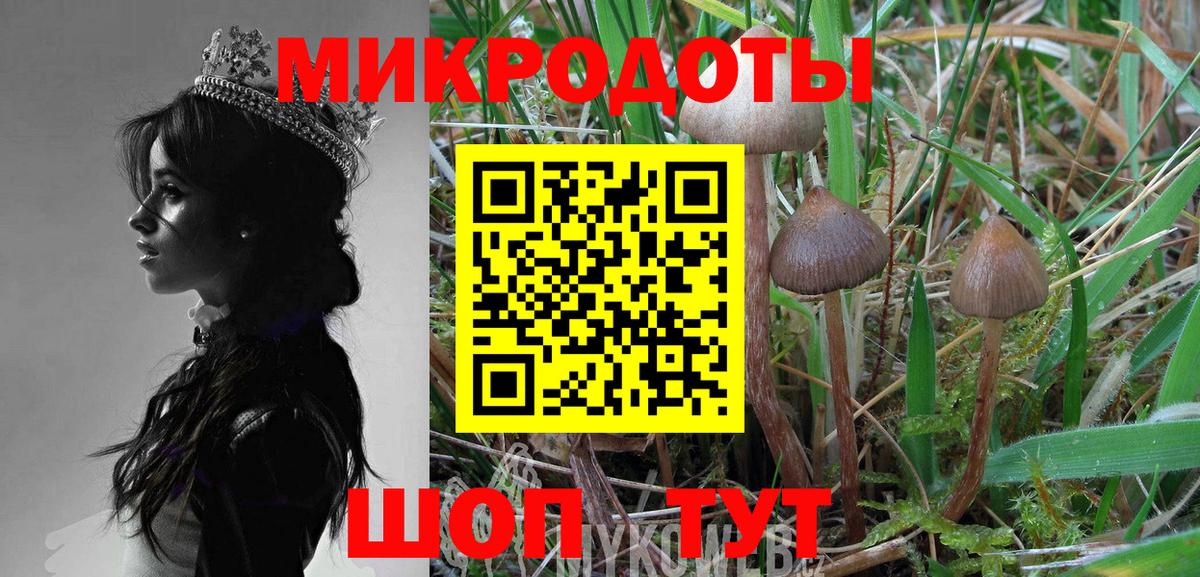 Галлюциногенные грибы Psilocybe Кувандык